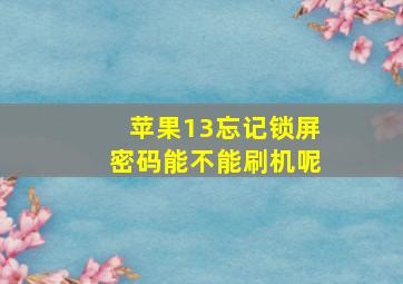 苹果13忘记锁屏密码能不能刷机呢