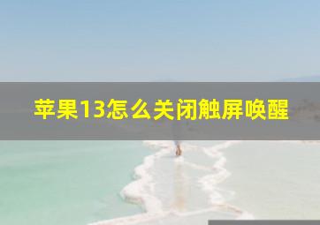 苹果13怎么关闭触屏唤醒