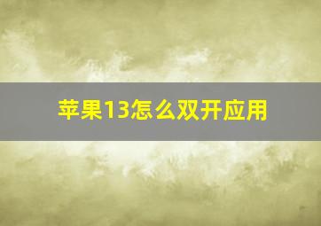 苹果13怎么双开应用