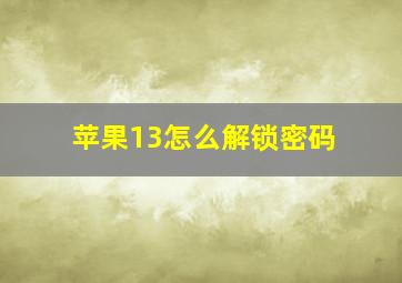 苹果13怎么解锁密码