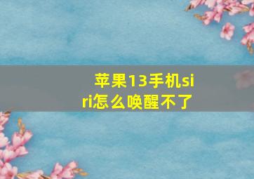 苹果13手机siri怎么唤醒不了