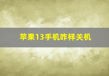 苹果13手机咋样关机