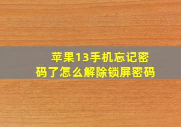 苹果13手机忘记密码了怎么解除锁屏密码