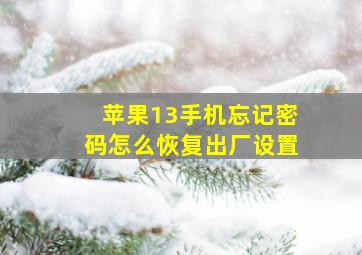 苹果13手机忘记密码怎么恢复出厂设置