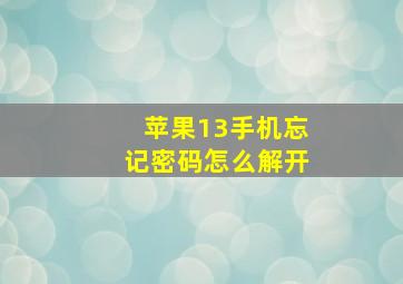 苹果13手机忘记密码怎么解开