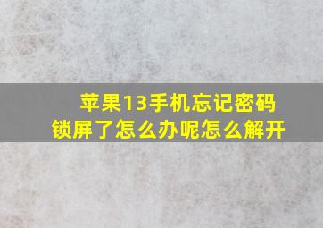 苹果13手机忘记密码锁屏了怎么办呢怎么解开