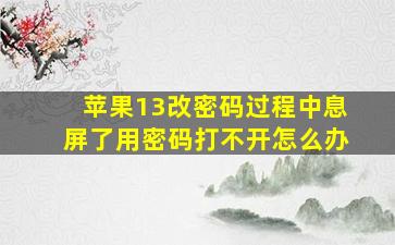 苹果13改密码过程中息屏了用密码打不开怎么办