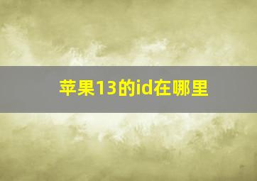 苹果13的id在哪里