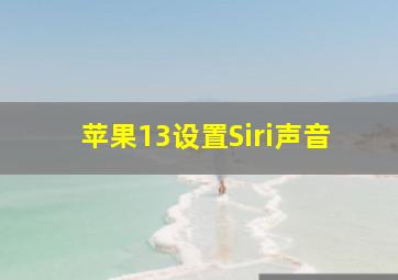 苹果13设置Siri声音