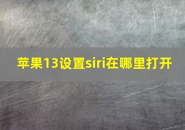 苹果13设置siri在哪里打开