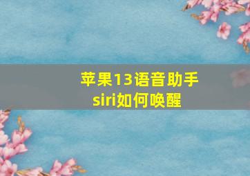 苹果13语音助手siri如何唤醒