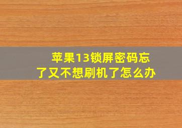 苹果13锁屏密码忘了又不想刷机了怎么办