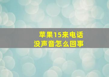 苹果15来电话没声音怎么回事