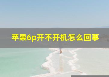 苹果6p开不开机怎么回事