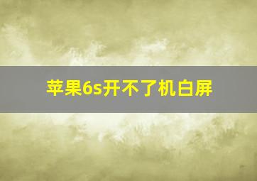 苹果6s开不了机白屏