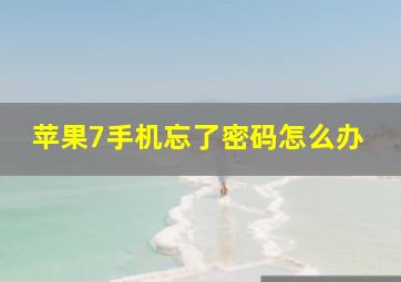 苹果7手机忘了密码怎么办