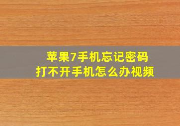 苹果7手机忘记密码打不开手机怎么办视频