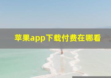 苹果app下载付费在哪看