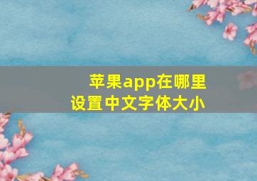 苹果app在哪里设置中文字体大小