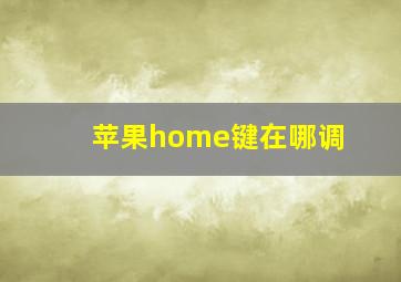 苹果home键在哪调