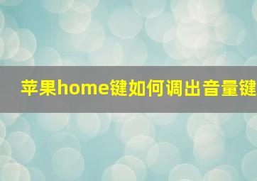 苹果home键如何调出音量键