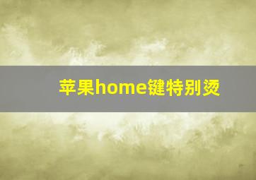 苹果home键特别烫