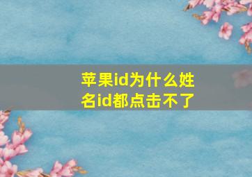 苹果id为什么姓名id都点击不了