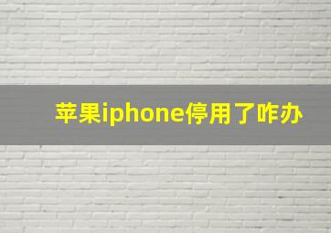 苹果iphone停用了咋办