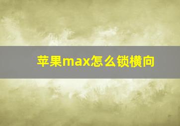 苹果max怎么锁横向