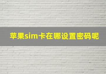 苹果sim卡在哪设置密码呢