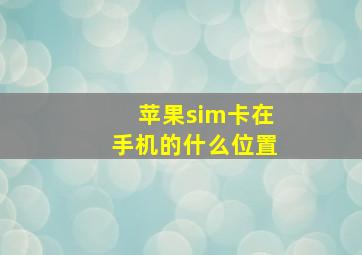 苹果sim卡在手机的什么位置