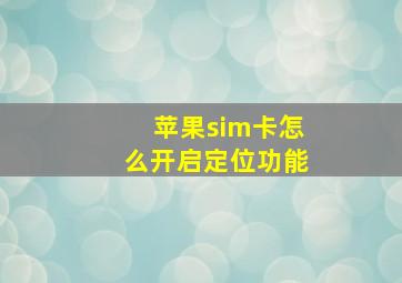 苹果sim卡怎么开启定位功能