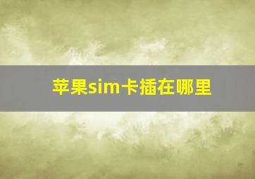 苹果sim卡插在哪里