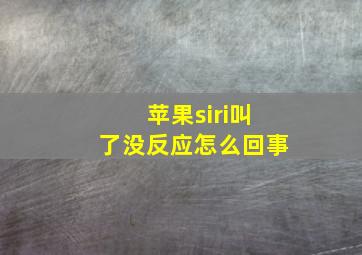 苹果siri叫了没反应怎么回事