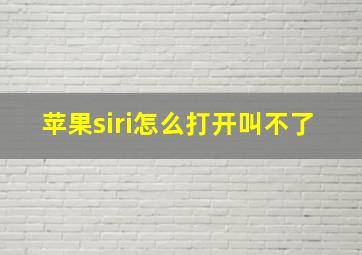 苹果siri怎么打开叫不了