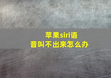 苹果siri语音叫不出来怎么办