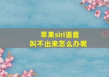 苹果siri语音叫不出来怎么办呢