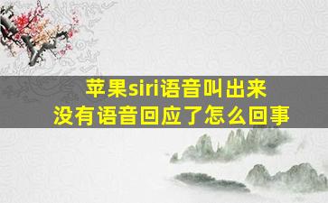 苹果siri语音叫出来没有语音回应了怎么回事