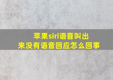 苹果siri语音叫出来没有语音回应怎么回事