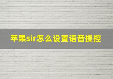 苹果sir怎么设置语音操控