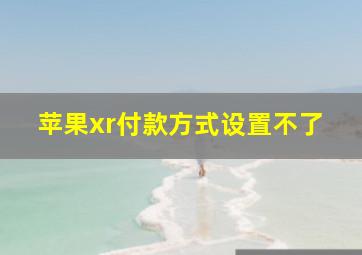 苹果xr付款方式设置不了