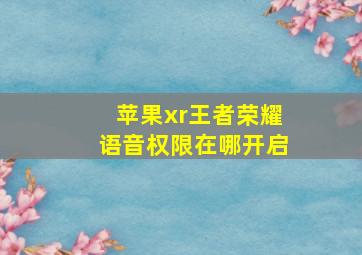 苹果xr王者荣耀语音权限在哪开启