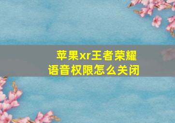 苹果xr王者荣耀语音权限怎么关闭