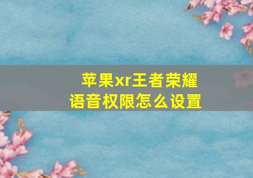 苹果xr王者荣耀语音权限怎么设置