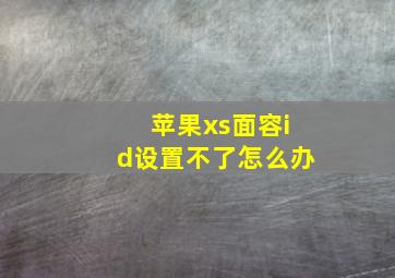 苹果xs面容id设置不了怎么办