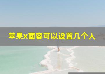 苹果x面容可以设置几个人