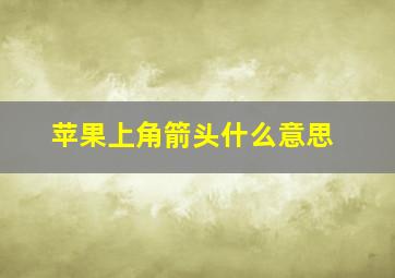 苹果上角箭头什么意思