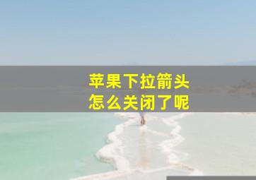 苹果下拉箭头怎么关闭了呢