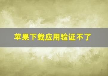 苹果下载应用验证不了