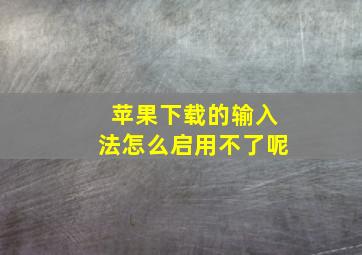 苹果下载的输入法怎么启用不了呢